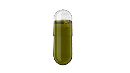 Bacopa Monnieri extract with DHA oil capsules
