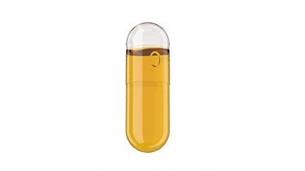 Seabuckthorn Oil Capsule (500mg)