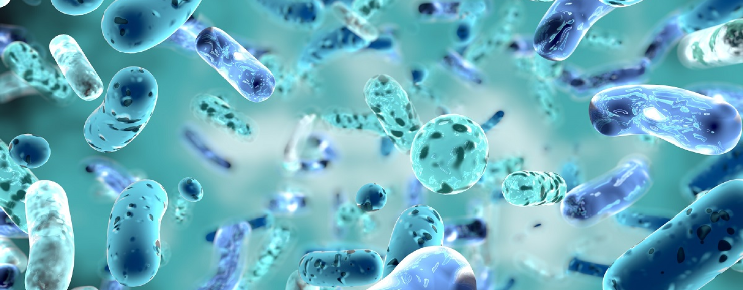 Health benefits of Probiotics Capsules