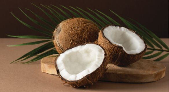 Exemplary execution (Coconut Oil)